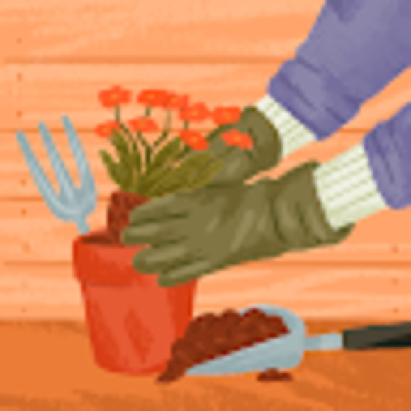 Meet your Posher, Makayla - Picture 1 of 1